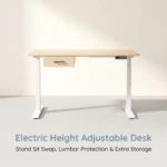 Dual Motor Electric Standing Desk,Height Adjustable Sit Stand Computer Desk With Without Storage Drawer For Home Office Use